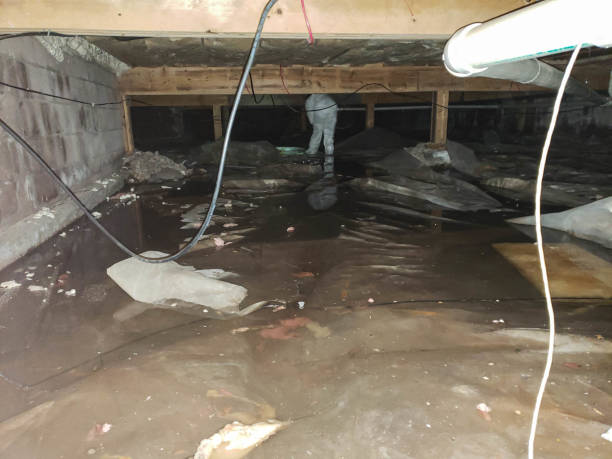 Trusted Water Damage Restoration in Bard College, NY | Fast, Reliable, and Ready to Assist You